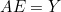 AE = Y
