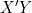 X'Y