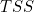 TSS