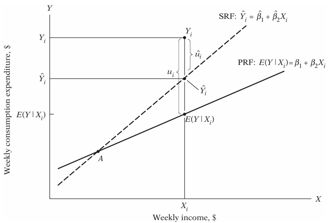 Population Regression Function and Sample Regression Function