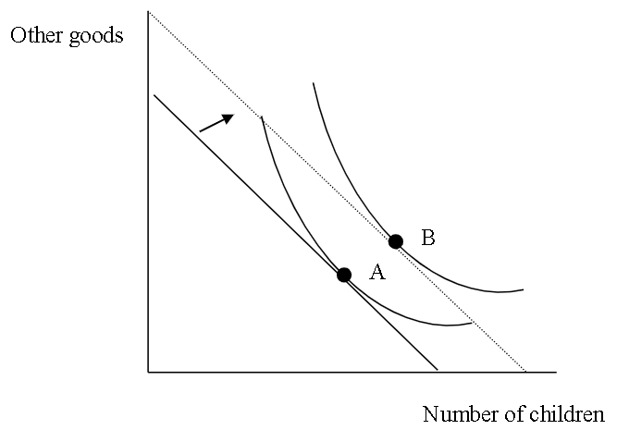 Rise in Household Income in Fertility Theory