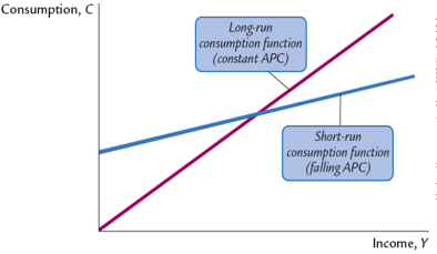 The Consumption Puzzle