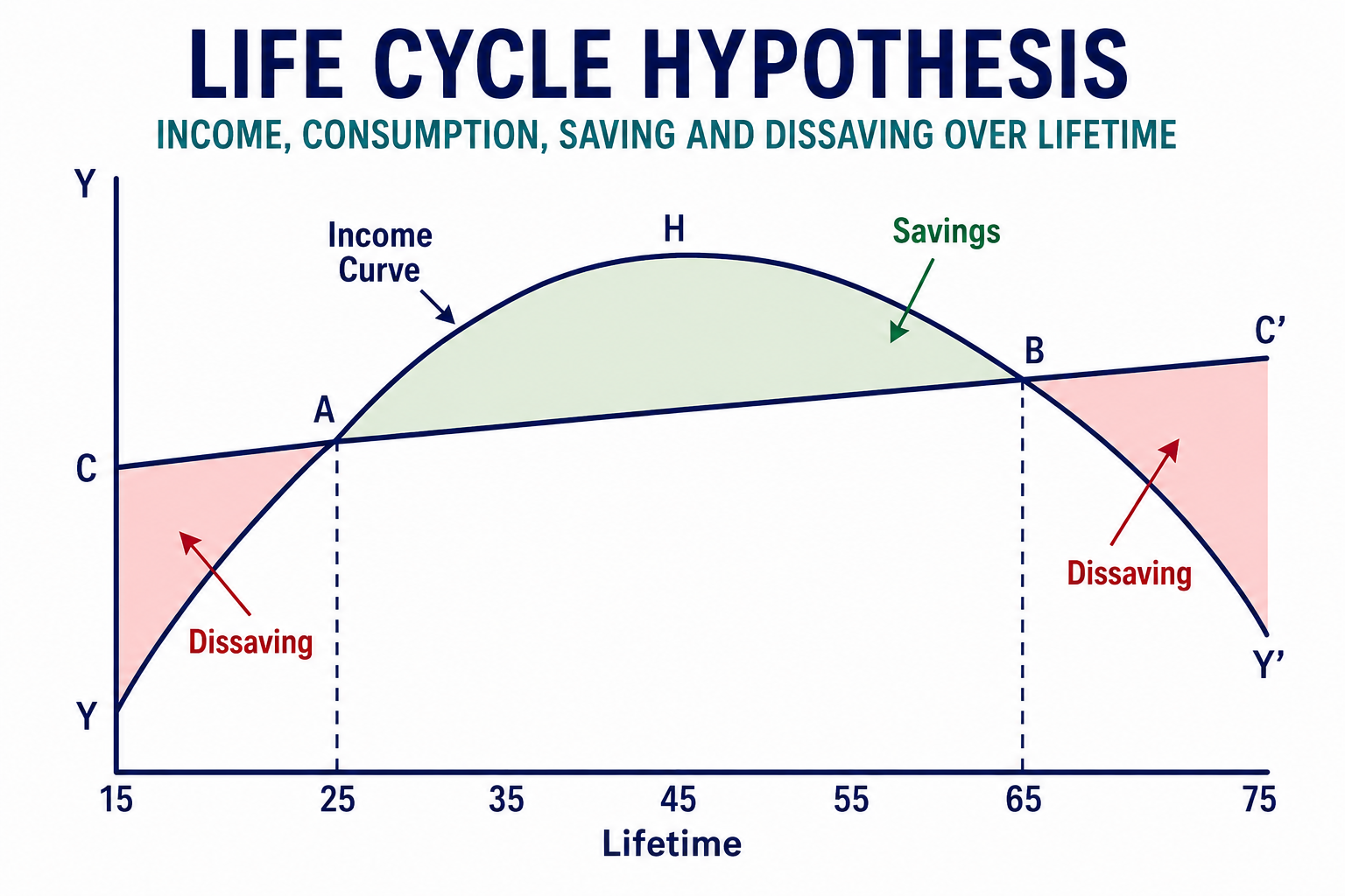 Life Cycle Hypothesis of Consumption